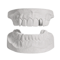 ANY 1 TOOTH