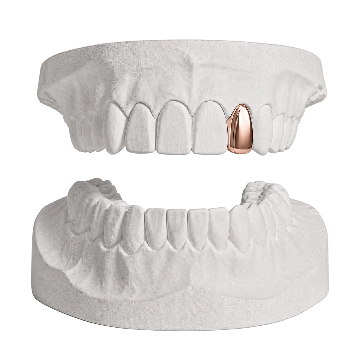 ANY 1 TOOTH