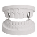 VAMP FANGS