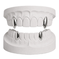 VAMP FANGS SET
